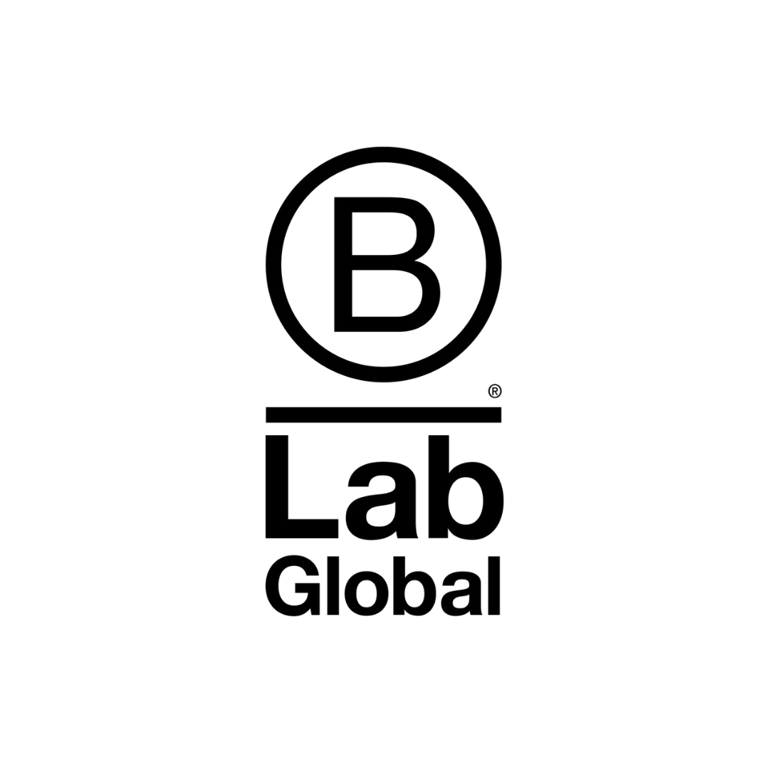 Our Global Network - B Lab UK