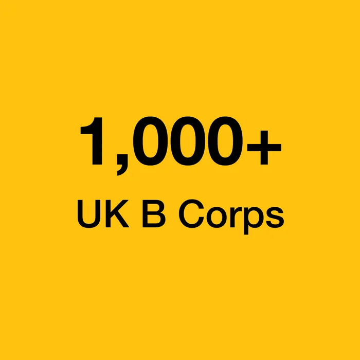 Website Stats