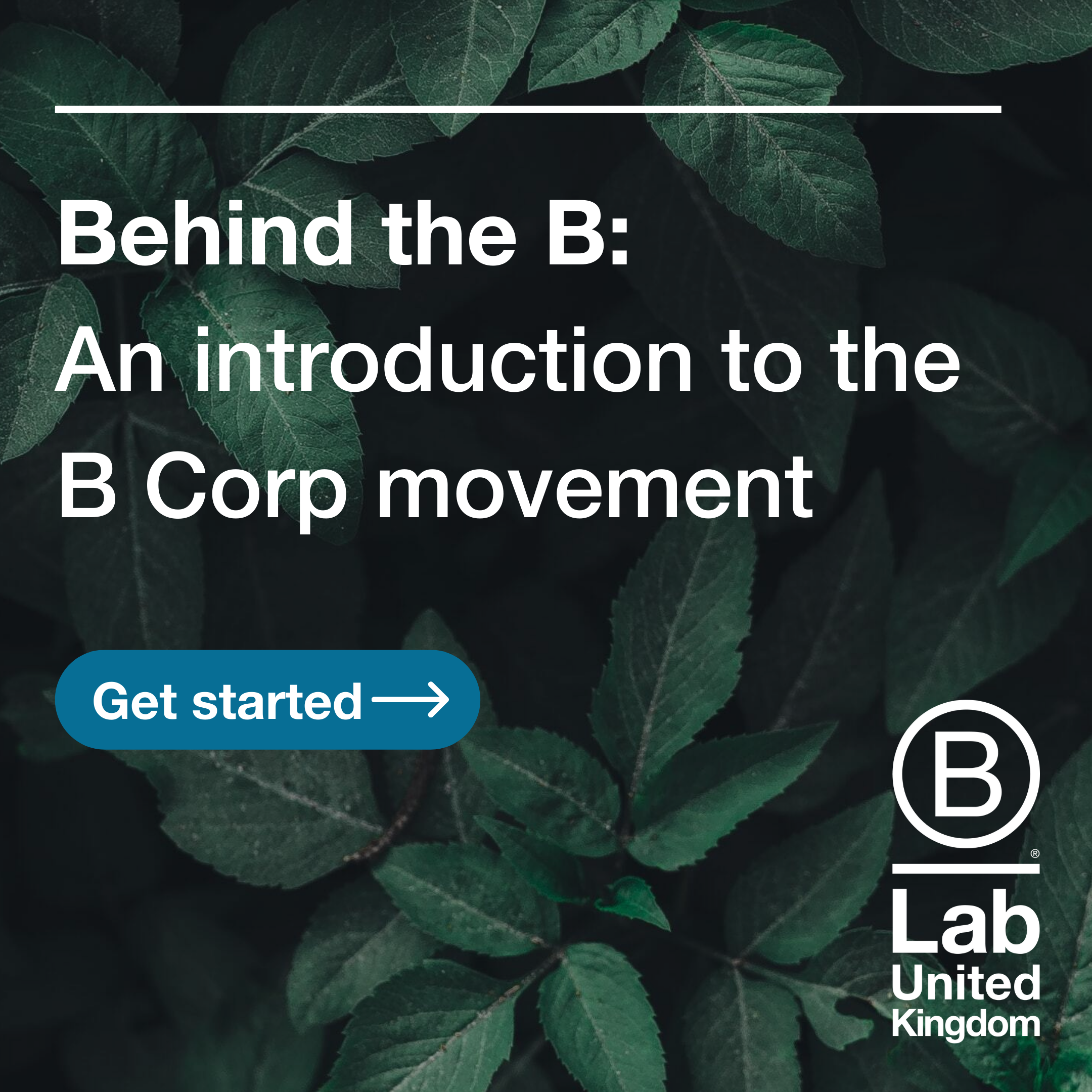 Introductory Training - B Lab UK